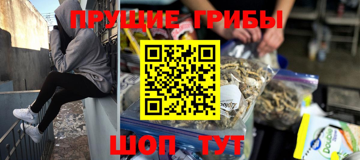 Галлюциногенные грибы прущие грибы  Вход с VPN  Якутск 